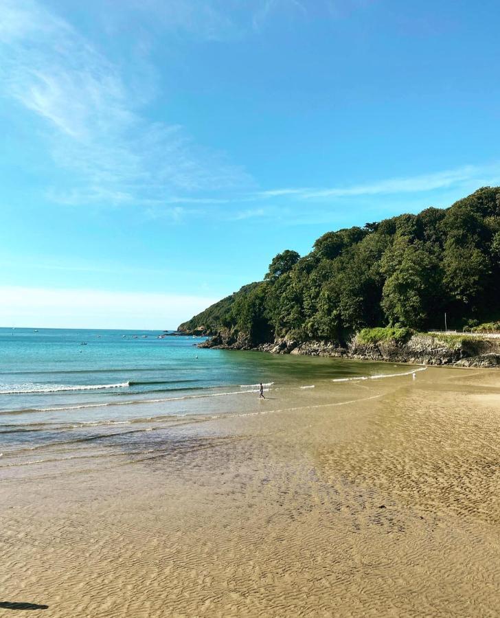 Elmo Salcombe